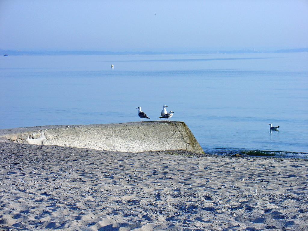 Fewo Machedanz Am Hafen Timmendorfer Strand Ot Niendorf Kültér fotó